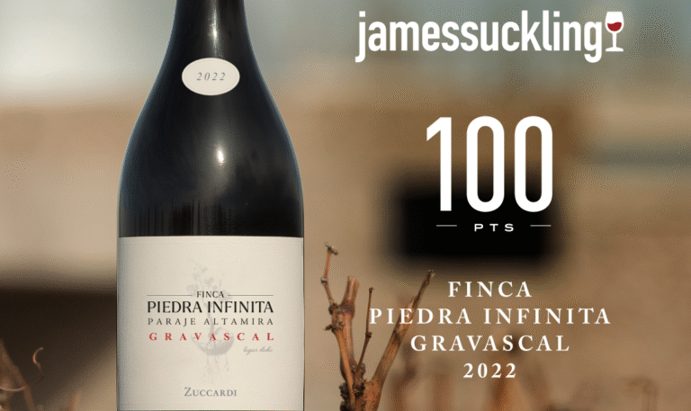 Botella de Finca Piedra Infinita Gravascal 2022 de Zuccardi Valle de Uco sobre un poste de viñedo, destacada por haber recibido 100 puntos de James Suckling