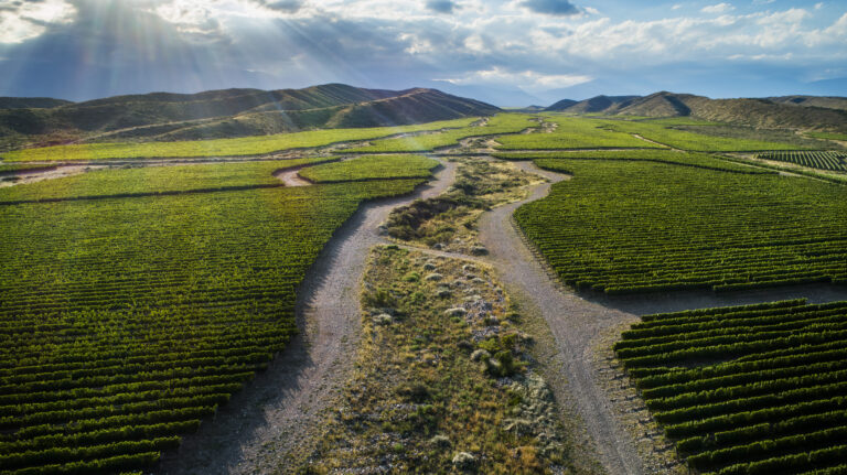 Vista aérea de viñedos perfectamente alineados en el Valle de Uco, rodeados de montañas y caminos de tierra bajo un cielo parcialmente nublado con rayos de sol