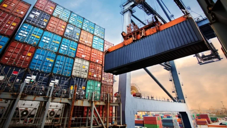 Vista de contenedores y grúa en operación en un puerto, representando las exportaciones y el comercio internacional de Argentina