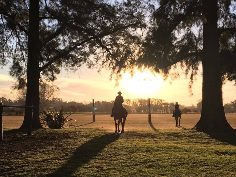 Dos personas montando a caballo al atardecer entre árboles en un campo amplio y tranquilo
