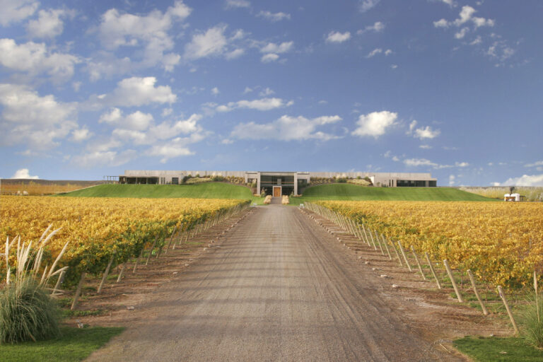 Fachada de Bodega Malma rodeada de viñedos en la Patagonia, donde se produce el Malbec Orgánico Intemperie