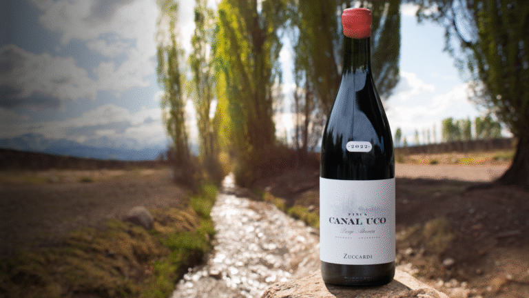 Botella de Zuccardi Finca Canal Uco 2022 sobre una piedra en un viñedo, con un canal de riego y álamos de fondo en el Valle de Uco