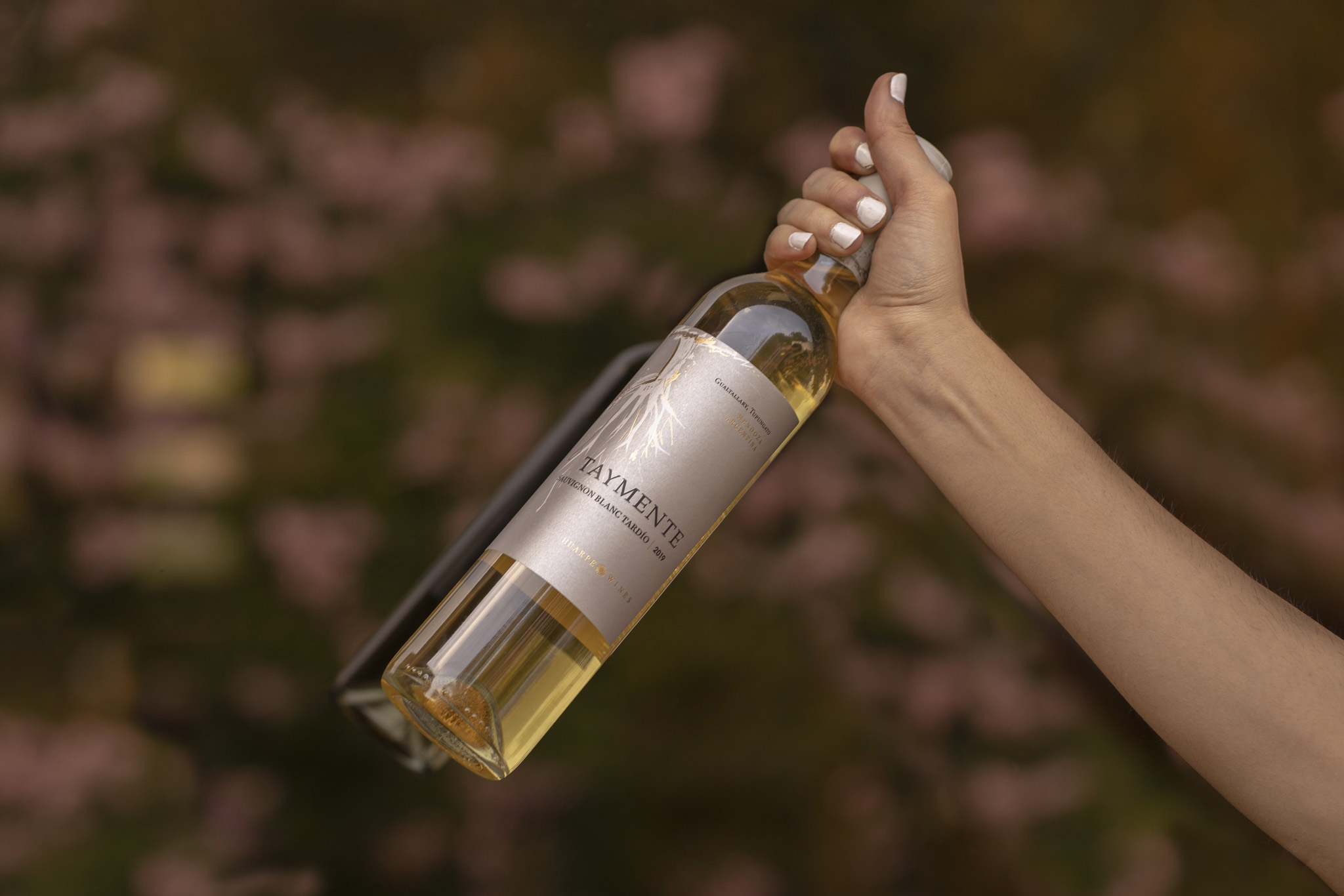 Botella de vino Riesling dulce de Mendoza sostenida en una mano, reconocida internacionalmente entre los mejores vinos dulces del mundo