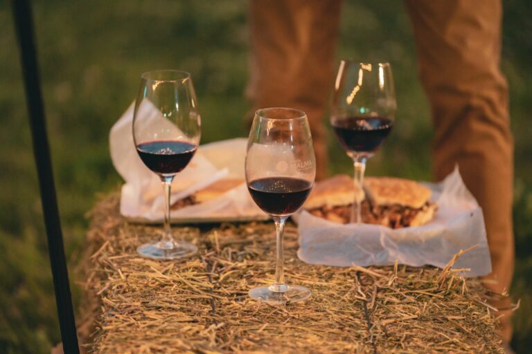 Copas de vino tinto sobre una mesa rústica en un entorno de viñedo al atardecer durante una celebración de vendimia