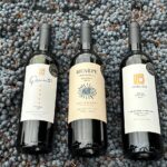 Botellas de vino Malbec sobre uvas recién cosechadas que reflejan la identidad y calidad del vino argentino