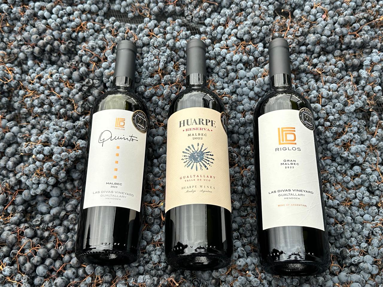 Botellas de vino Malbec sobre uvas recién cosechadas que reflejan la identidad y calidad del vino argentino