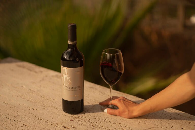 Botella de Cabernet Sauvignon de Gualtallary junto a una copa de vino tinto en un entorno natural